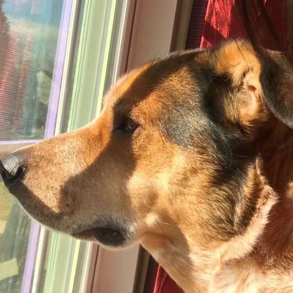 Meet your Posher, Kuralay - Picture 1 of 1